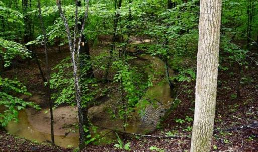Photo of SOLD!!  54 Acres of Hunting and Recreational Land For Sale in Franklin County VA!