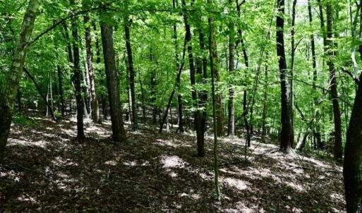 Photo of SOLD!!  54 Acres of Hunting and Recreational Land For Sale in Franklin County VA!
