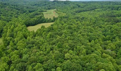 Photo of SOLD!!  54 Acres of Hunting and Recreational Land For Sale in Franklin County VA!