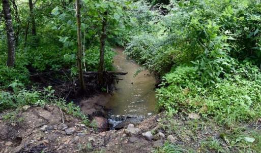 Photo of SOLD!!  54 Acres of Hunting and Recreational Land For Sale in Franklin County VA!