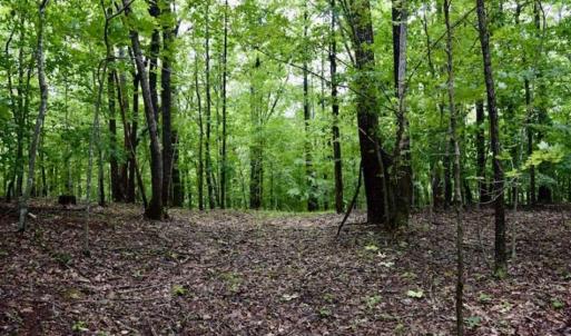 Photo of SOLD!!  54 Acres of Hunting and Recreational Land For Sale in Franklin County VA!