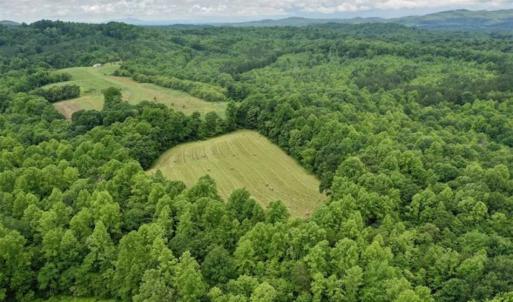 Photo of SOLD!!  54 Acres of Hunting and Recreational Land For Sale in Franklin County VA!