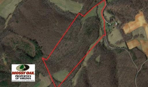 Photo of SOLD!!  54 Acres of Hunting and Recreational Land For Sale in Franklin County VA!
