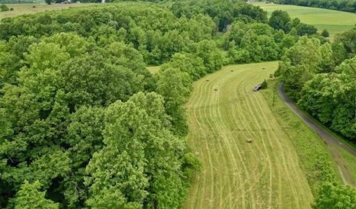 Photo of SOLD!!  54 Acres of Hunting and Recreational Land For Sale in Franklin County VA!
