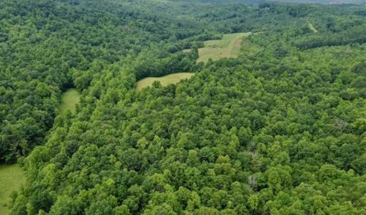 Photo of SOLD!!  54 Acres of Hunting and Recreational Land For Sale in Franklin County VA!