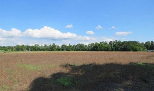 Photo of SOLD!!  19 Acres of Farm Land For Sale in Robeson County NC!