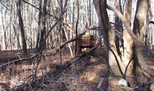Photo of SOLD!!  38 Acres of Timber and Hunting Land For Sale in Accomack County VA!
