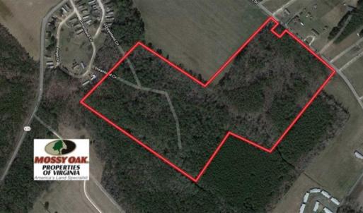 Photo of SOLD!!  38 Acres of Timber and Hunting Land For Sale in Accomack County VA!