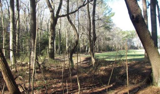 Photo of SOLD!!  38 Acres of Timber and Hunting Land For Sale in Accomack County VA!