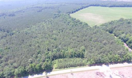 Photo of SOLD!!  16 Acres of Hunting Land For Sale in Southampton County VA!