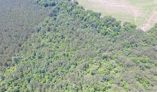 Photo of SOLD!!  16 Acres of Hunting Land For Sale in Southampton County VA!