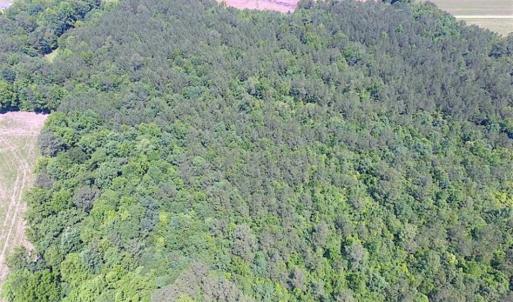 Photo of SOLD!!  16 Acres of Hunting Land For Sale in Southampton County VA!