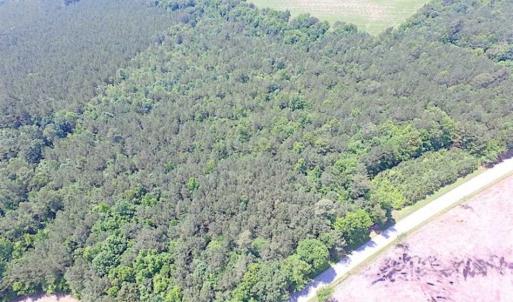 Photo of SOLD!!  16 Acres of Hunting Land For Sale in Southampton County VA!