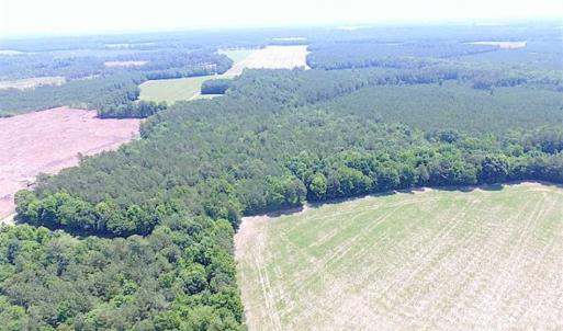 Photo of SOLD!!  16 Acres of Hunting Land For Sale in Southampton County VA!