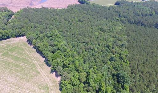 Photo of SOLD!!  16 Acres of Hunting Land For Sale in Southampton County VA!