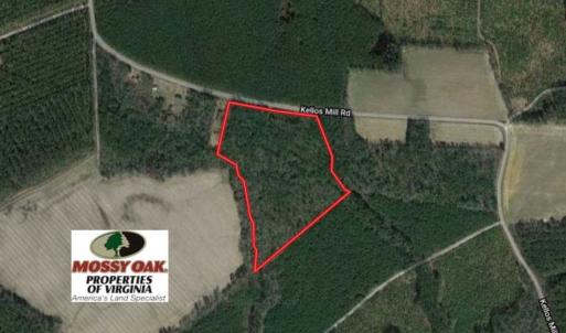 Photo of SOLD!!  16 Acres of Hunting Land For Sale in Southampton County VA!