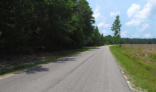 Photo of SOLD!!  16 Acres of Hunting Land For Sale in Southampton County VA!