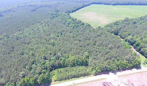 Photo of SOLD!!  16 Acres of Hunting Land For Sale in Southampton County VA!