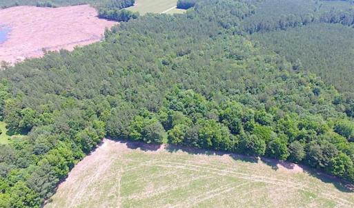 Photo of SOLD!!  16 Acres of Hunting Land For Sale in Southampton County VA!