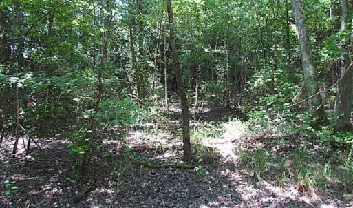 Photo of SOLD!!  5 Acres of Hunting Land of Southampton County VA!