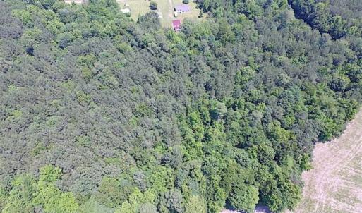 Photo of SOLD!!  5 Acres of Hunting Land of Southampton County VA!