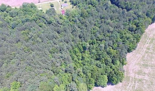 Photo of SOLD!!  5 Acres of Hunting Land of Southampton County VA!