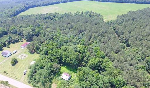 Photo of SOLD!!  5 Acres of Hunting Land of Southampton County VA!