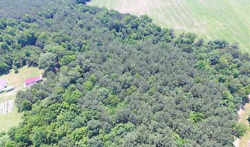Photo of SOLD!!  5 Acres of Hunting Land of Southampton County VA!