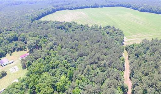 Photo of SOLD!!  5 Acres of Hunting Land of Southampton County VA!