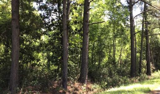 Photo of UNDER CONTRACT!!  6 Acres of Residential Land For Sale in Columbus County NC!