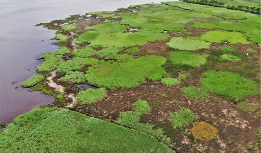 Photo of UNDER CONTRACT!!  109.38 Acres of Waterfront Land For Sale in Currituck County NC!