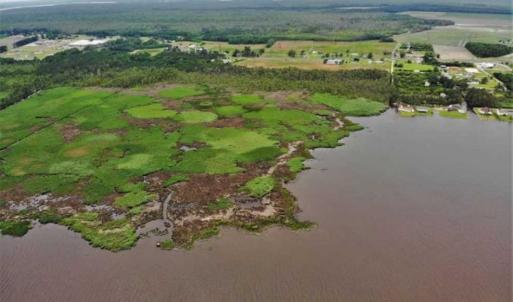 Photo of UNDER CONTRACT!!  109.38 Acres of Waterfront Land For Sale in Currituck County NC!