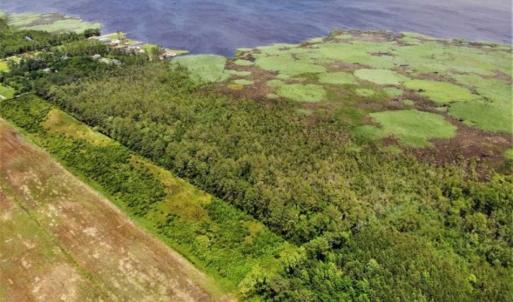Photo of UNDER CONTRACT!!  109.38 Acres of Waterfront Land For Sale in Currituck County NC!