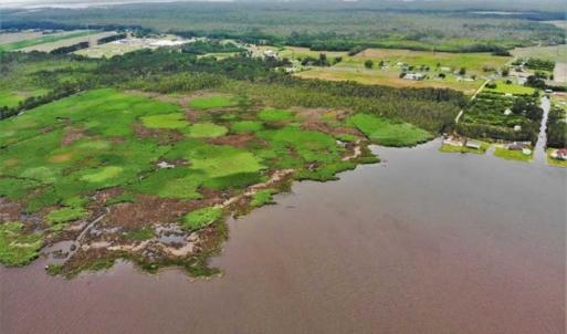 Photo of UNDER CONTRACT!!  109.38 Acres of Waterfront Land For Sale in Currituck County NC!