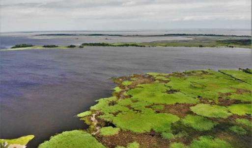 Photo of UNDER CONTRACT!!  109.38 Acres of Waterfront Land For Sale in Currituck County NC!