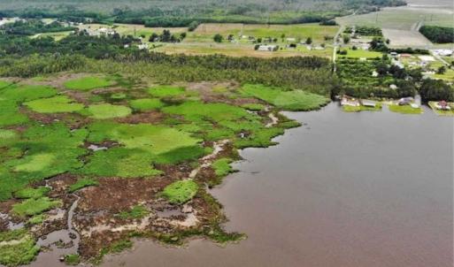 Photo of UNDER CONTRACT!!  109.38 Acres of Waterfront Land For Sale in Currituck County NC!