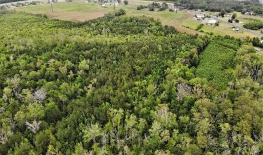 Photo of 23 Ac of Commercial / Residential Development Land in Currituck County NC!