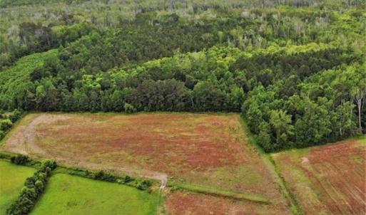 Photo of 23 Ac of Commercial / Residential Development Land in Currituck County NC!