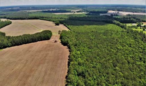 Photo of SOLD!!  245 Acres of Hunting Land with Cabin for Sale in Gates County NC!