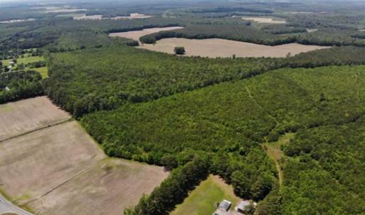 Photo of SOLD!!  245 Acres of Hunting Land with Cabin for Sale in Gates County NC!