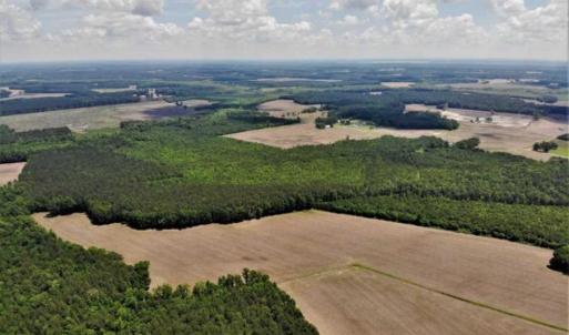 Photo of SOLD!!  245 Acres of Hunting Land with Cabin for Sale in Gates County NC!