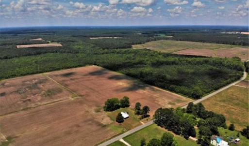 Photo of SOLD!!  245 Acres of Hunting Land with Cabin for Sale in Gates County NC!
