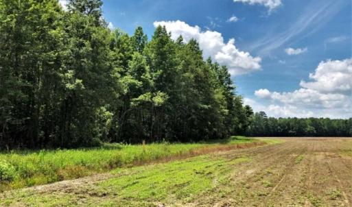 Photo of SOLD!!  245 Acres of Hunting Land with Cabin for Sale in Gates County NC!