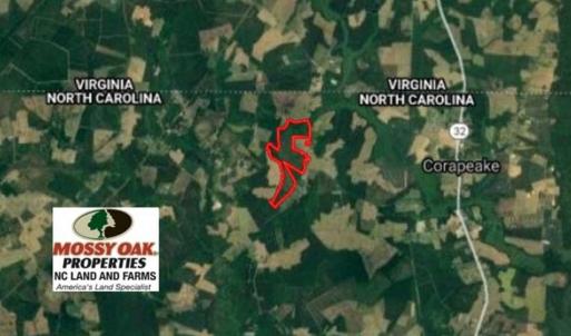 Photo of SOLD!!  245 Acres of Hunting Land with Cabin for Sale in Gates County NC!