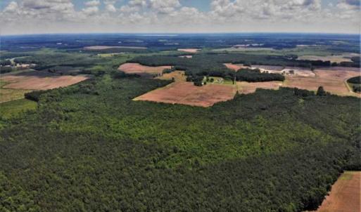 Photo of SOLD!!  245 Acres of Hunting Land with Cabin for Sale in Gates County NC!