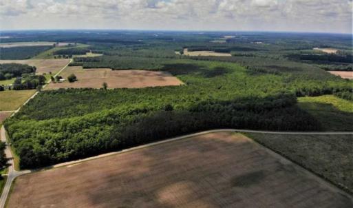 Photo of SOLD!!  245 Acres of Hunting Land with Cabin for Sale in Gates County NC!