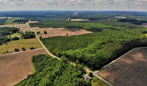 Photo of SOLD!!  245 Acres of Hunting Land with Cabin for Sale in Gates County NC!