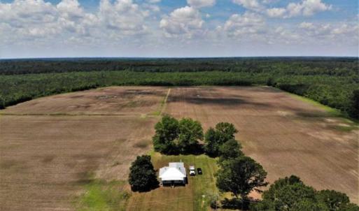 Photo of SOLD!!  245 Acres of Hunting Land with Cabin for Sale in Gates County NC!