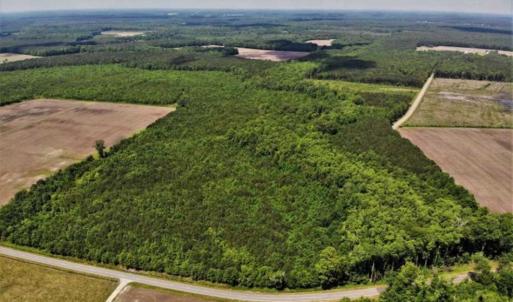 Photo of SOLD!!  245 Acres of Hunting Land with Cabin for Sale in Gates County NC!
