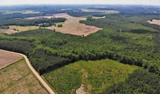 Photo of SOLD!!  245 Acres of Hunting Land with Cabin for Sale in Gates County NC!
